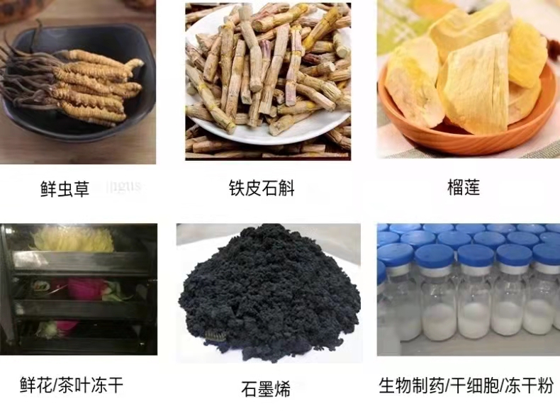 真空冷凍干燥機(jī)/凍干機(jī)/立式式普通型液晶冷凍干燥機(jī)/南京雪萊(圖11)