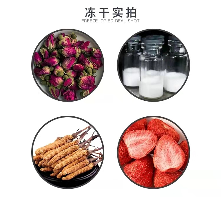 真空冷凍干燥機(jī)/凍干機(jī)/立式式普通型液晶冷凍干燥機(jī)/南京雪萊(圖8)